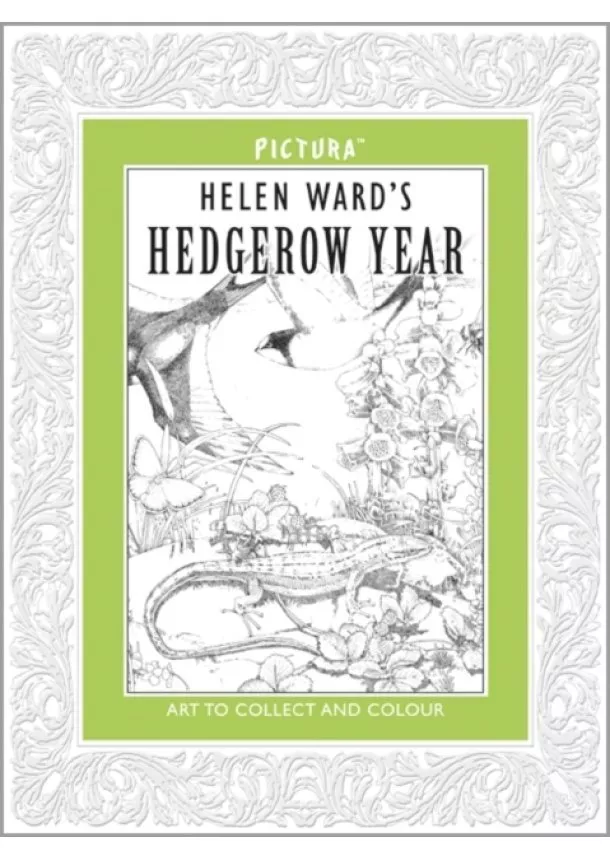 Helen Ward - Hedgerow Year Pictura