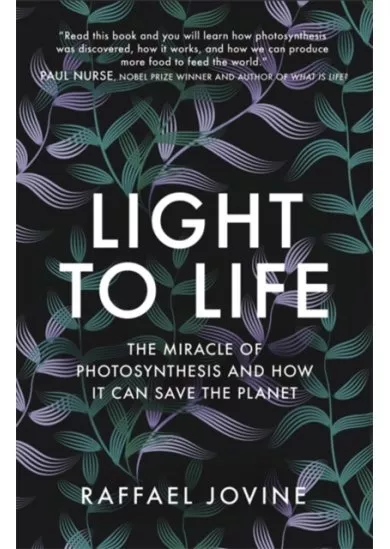 Light to Life