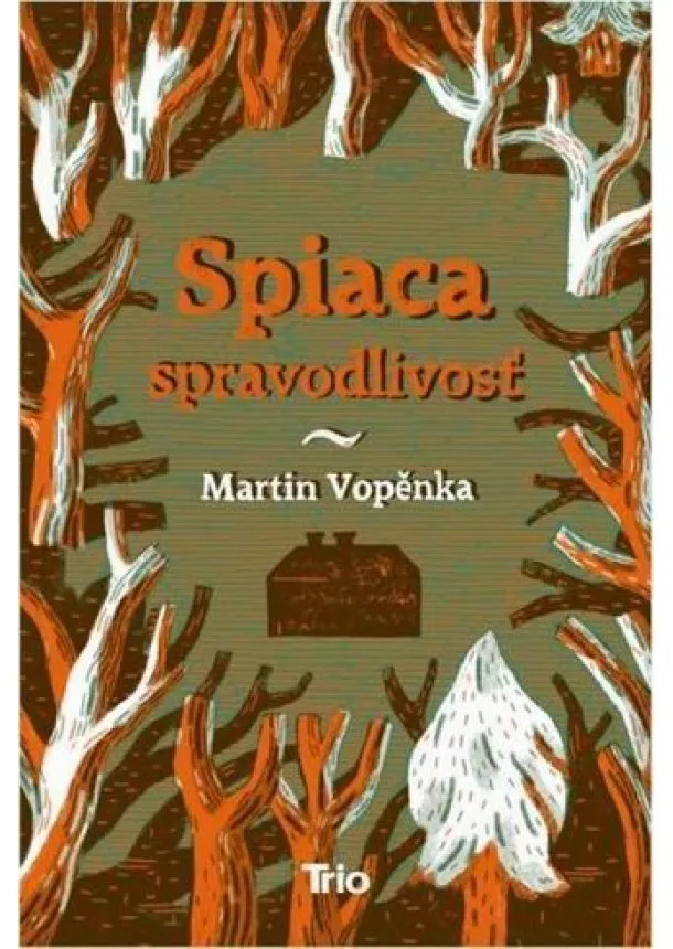 Martin Vopěnka - Spiaca spravodlivosť