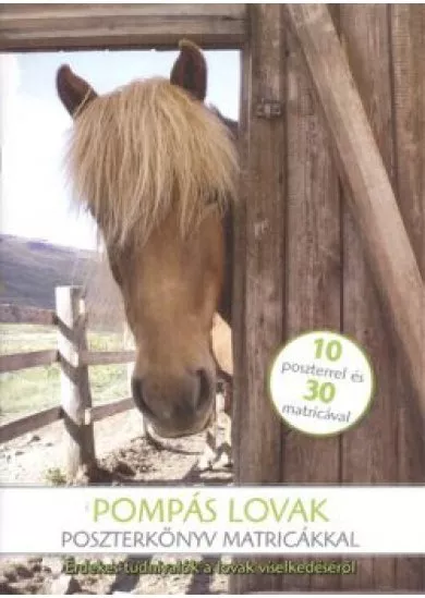 POMPÁS LOVAK - ÉRDEKES TUDNIVALÓK A LOVAK VISELKEDÉSÉRŐL