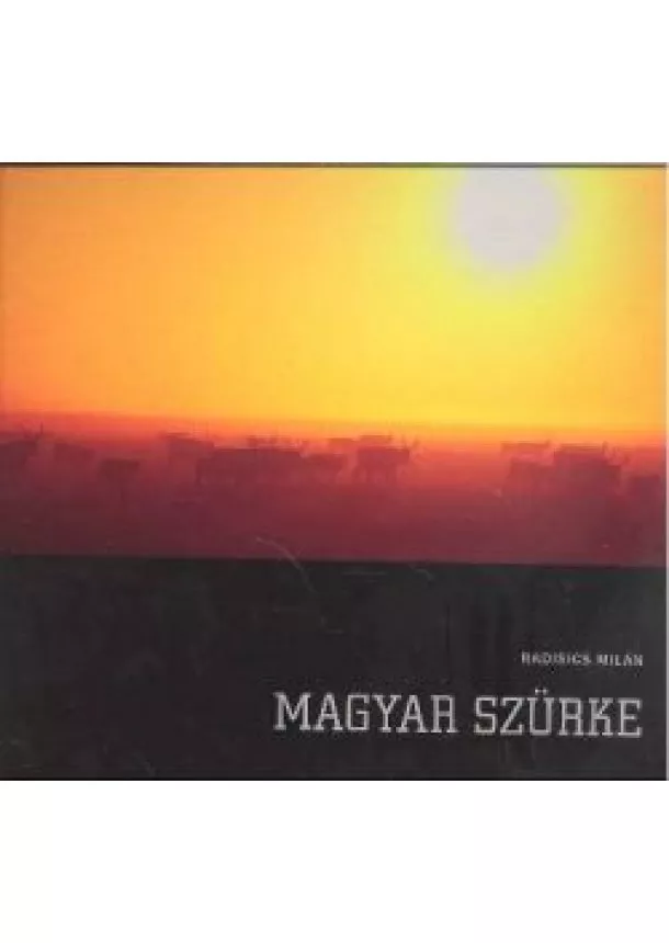 RADISICS MILÁN - MAGYAR SZÜRKE