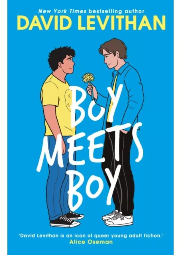 David Levithan - Boy Meets Boy