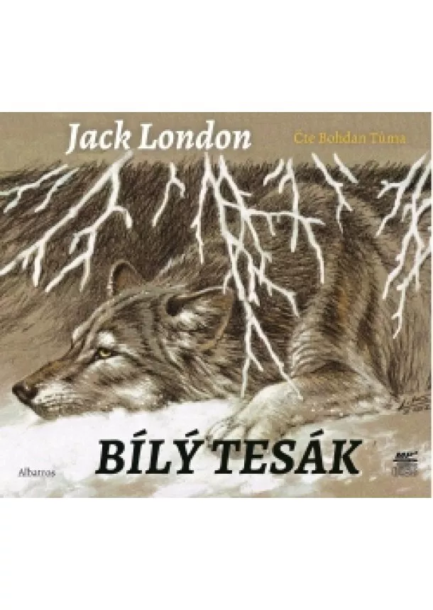 Jack London - Bílý tesák (audiokniha pro děti)