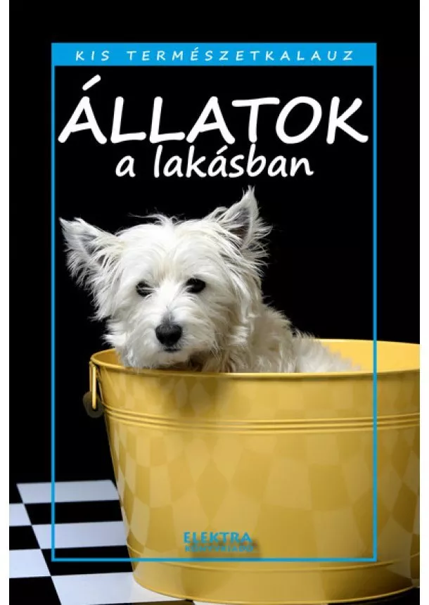 Bernáth István - Állatok a lakásban