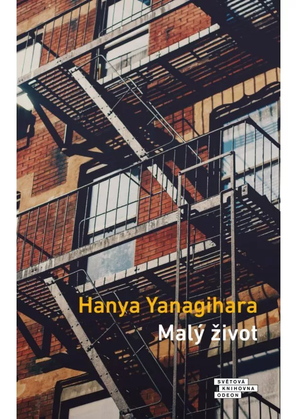 Hanya Yanagihara - Malý život