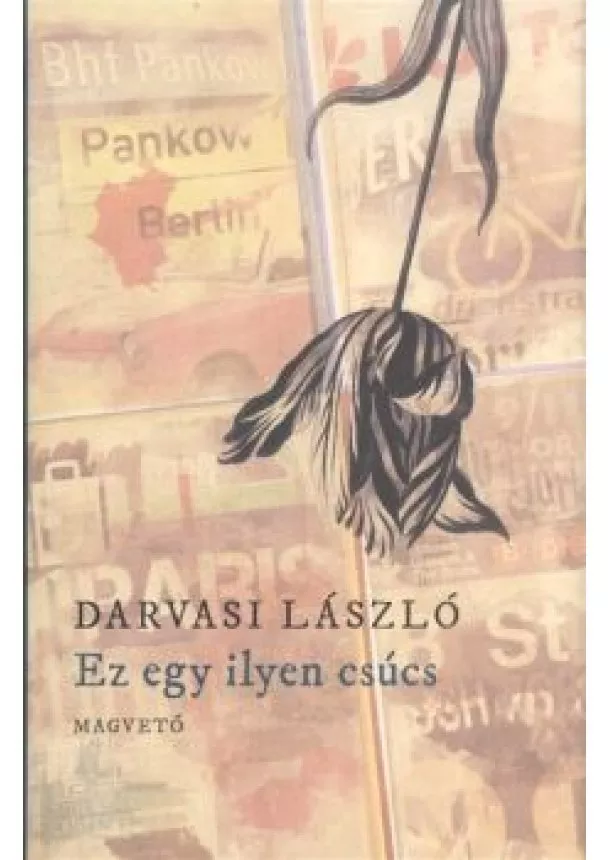 Darvasi László - Ez egy ilyen csúcs