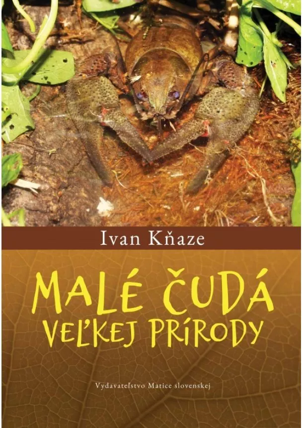 Malé čudá veľkej prírody