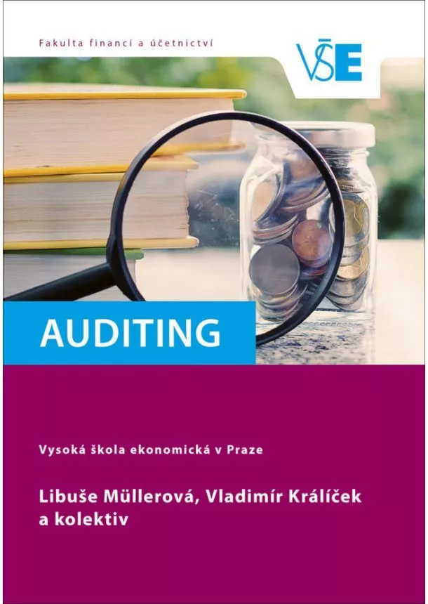 Libuše Müllerová, Vladimír Králíček - Auditing