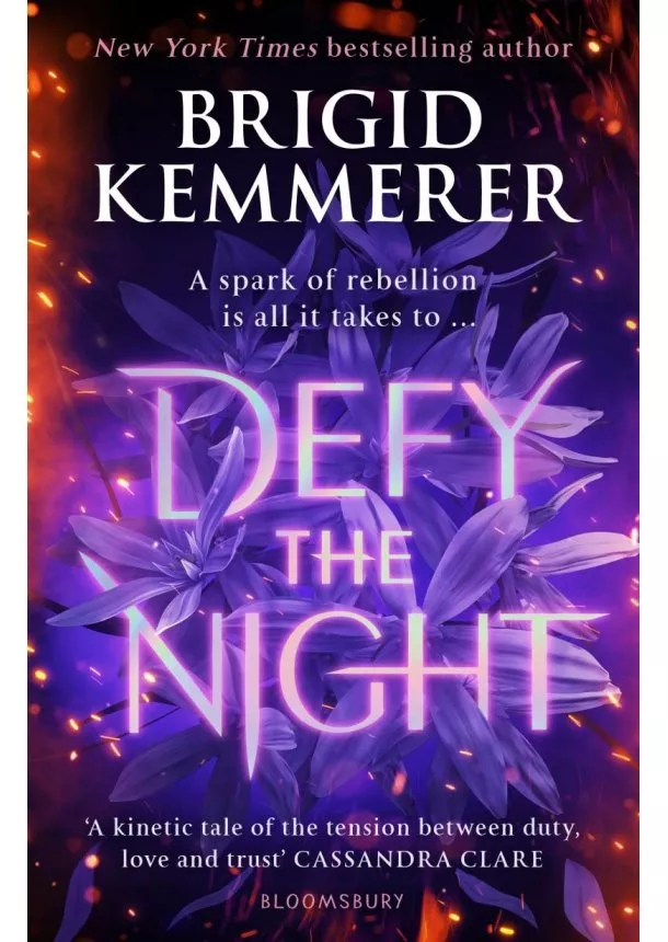 Brigid Kemmerer - Defy the Night