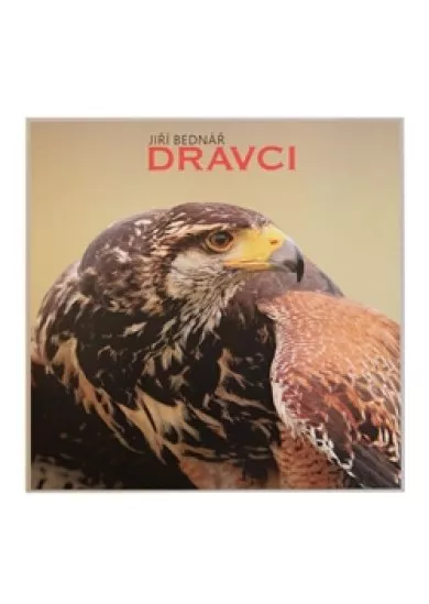 Dravci