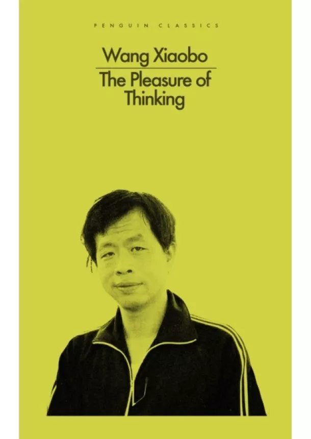 Wang Xiaobo - The Pleasure of Thinking