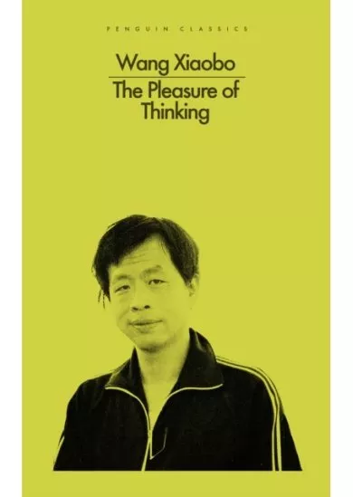 The Pleasure of Thinking