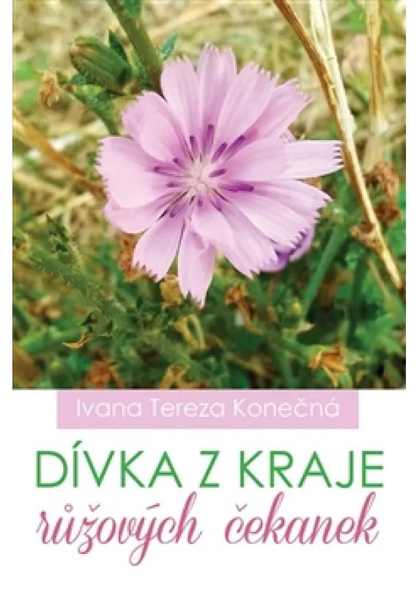 Ivana Tereza Konečná - Dívka z kraje růžových čekanek