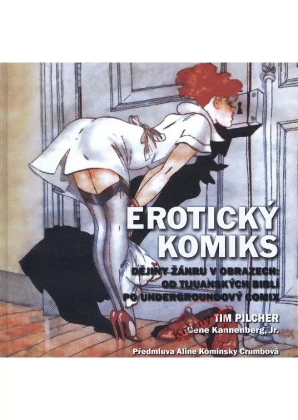 Tim Pilcher - Erotický komiks 1. - Dějiny žánru v obrazech: od tijuanských biblí po undergroundový comix