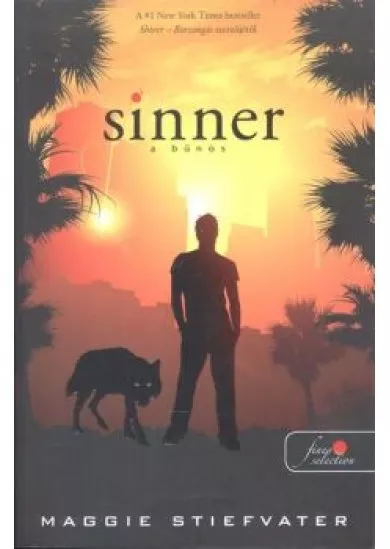 Sinner - A bűnös