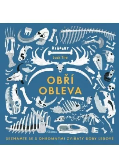 Obří obleva