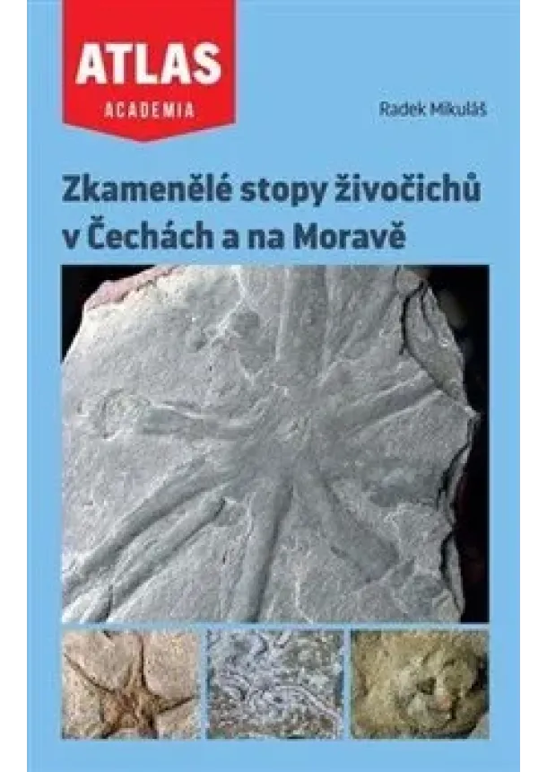 Radek Mikuláš - Zkamenělé stopy živočichů v Čechách a na Moravě