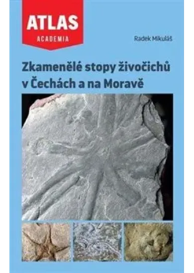 Zkamenělé stopy živočichů v Čechách a na Moravě