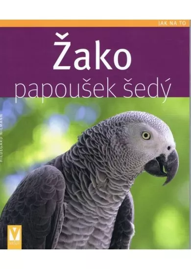 Žako, papoušek šedý