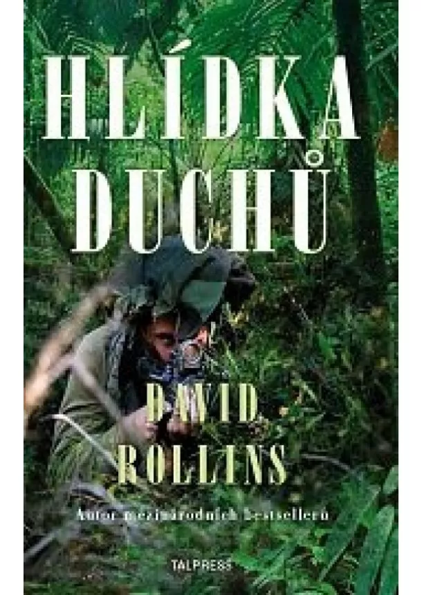 David Rollins - Hlídka duchů