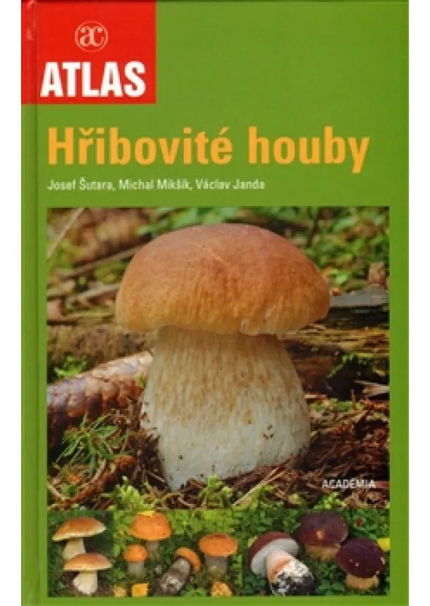 Michal Mikšík - Hřibovité houby