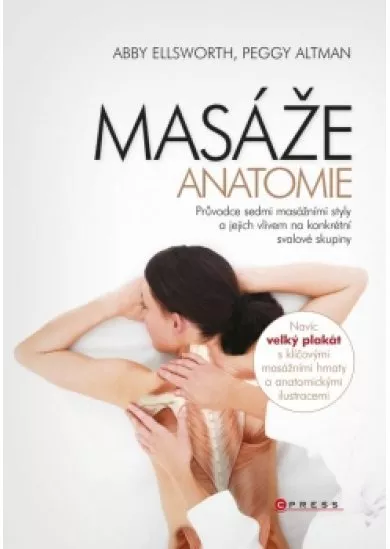 Masáže - anatomie