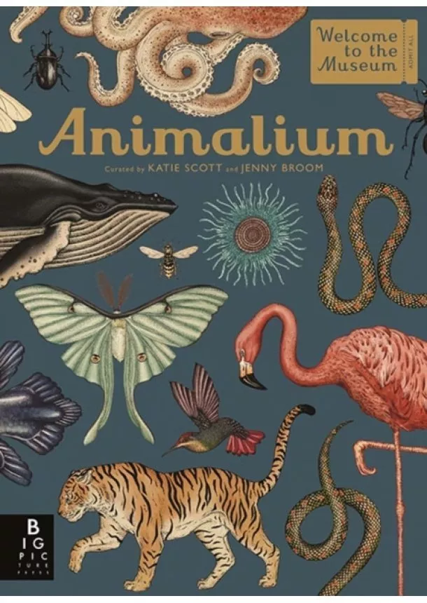 Jenny Broom - Animalium