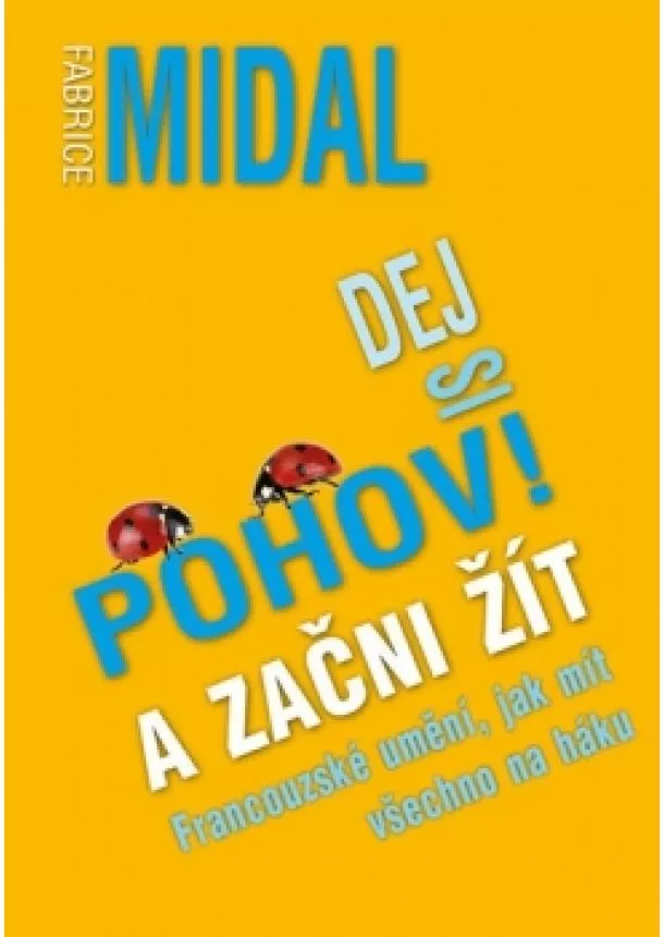 Fabrice Midal - Dej si pohov! A začni žít - Francouzské