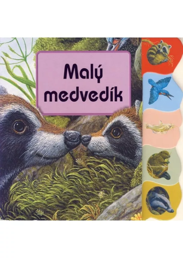 Kolektív - Malý medvedík