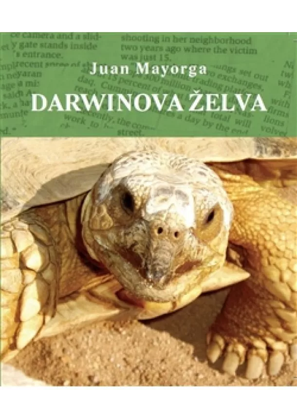 Juan Mayorga - Darwinova želva