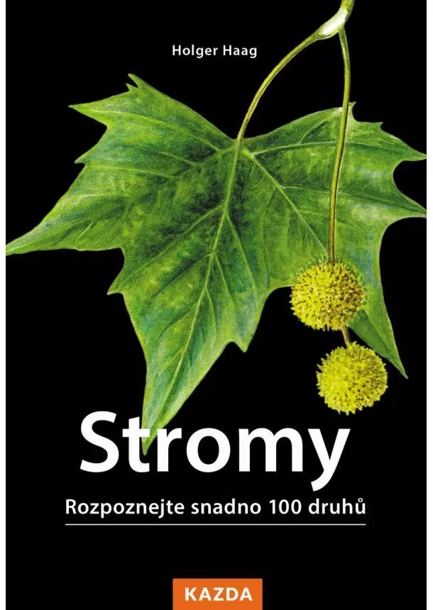 Holger Haag  - Stromy - Rozpoznejte snadno 100 druhů