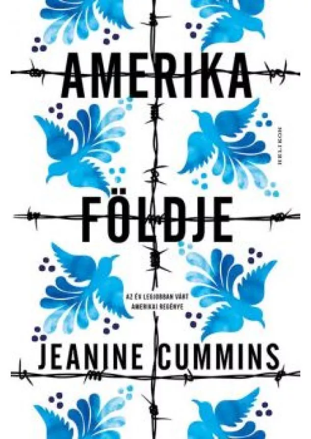 Jeanine Cummins - Amerika földje