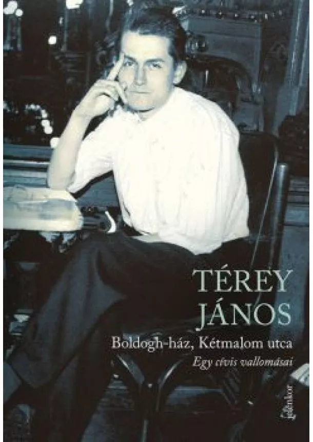 Térey János - Boldogh-ház, Kétmalom utca - Egy cívis vallomásai