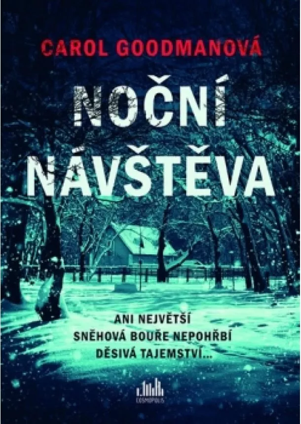 Carol Goodman - Noční návštěva