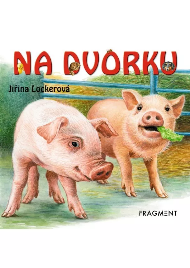 neznámý - Na dvorku