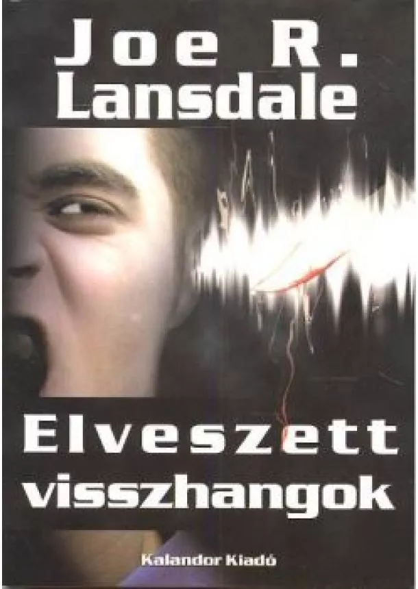 JOE R. LANSDALE - ELVESZETT VISSZHANGOK