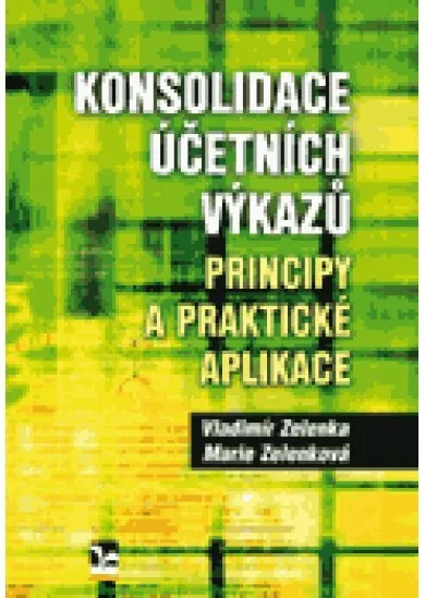 Konsolidace účetních výkazů - Principy a praktické aplikace