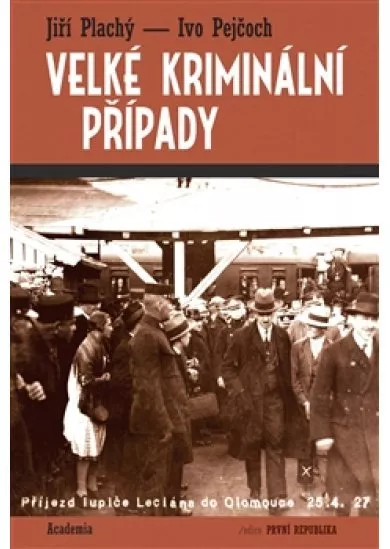 Velké kriminální případy