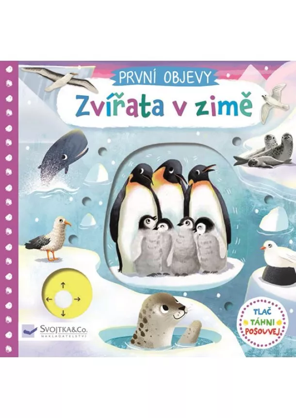 Jenny Wren - Zvířata v zimě - První objevy