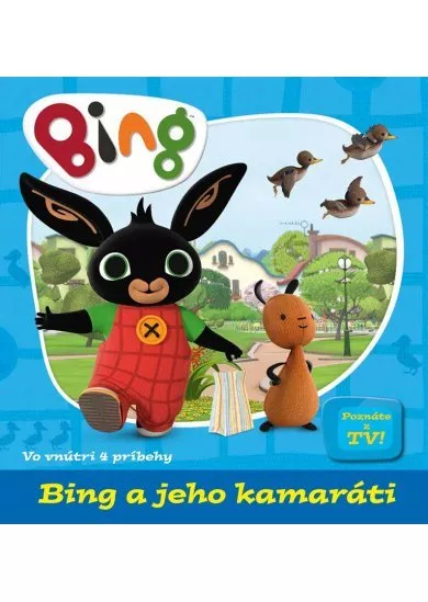 Bing a jeho kamaráti