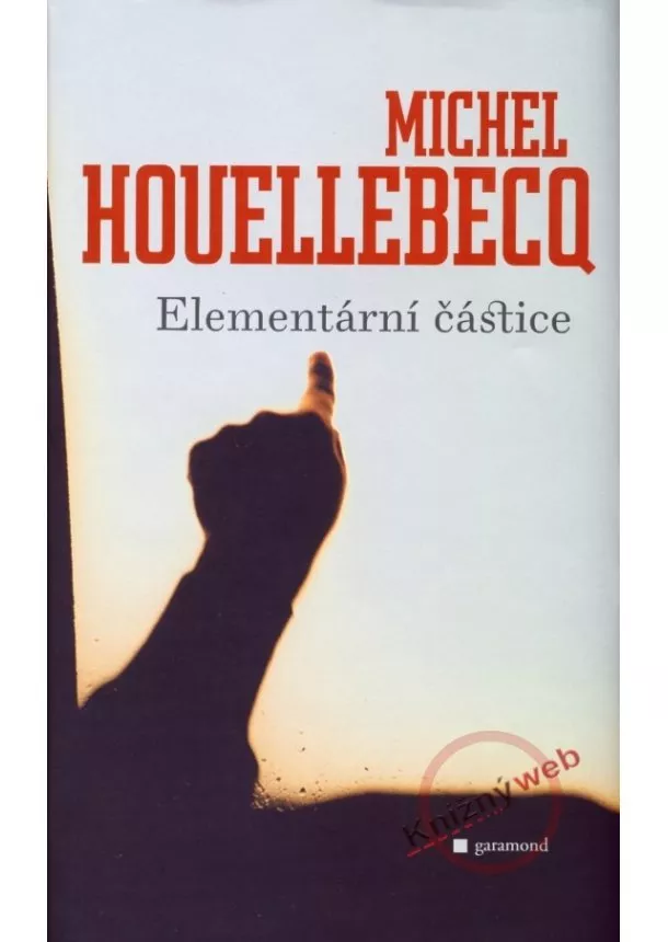 Michel Houellebecq - Elementární částice