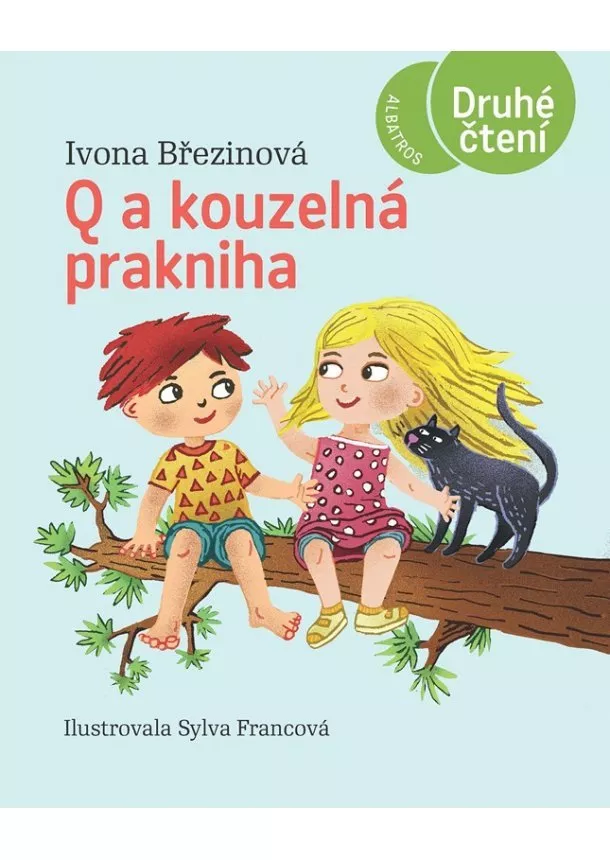 Ivona Březinová - Q a kouzelná prakniha