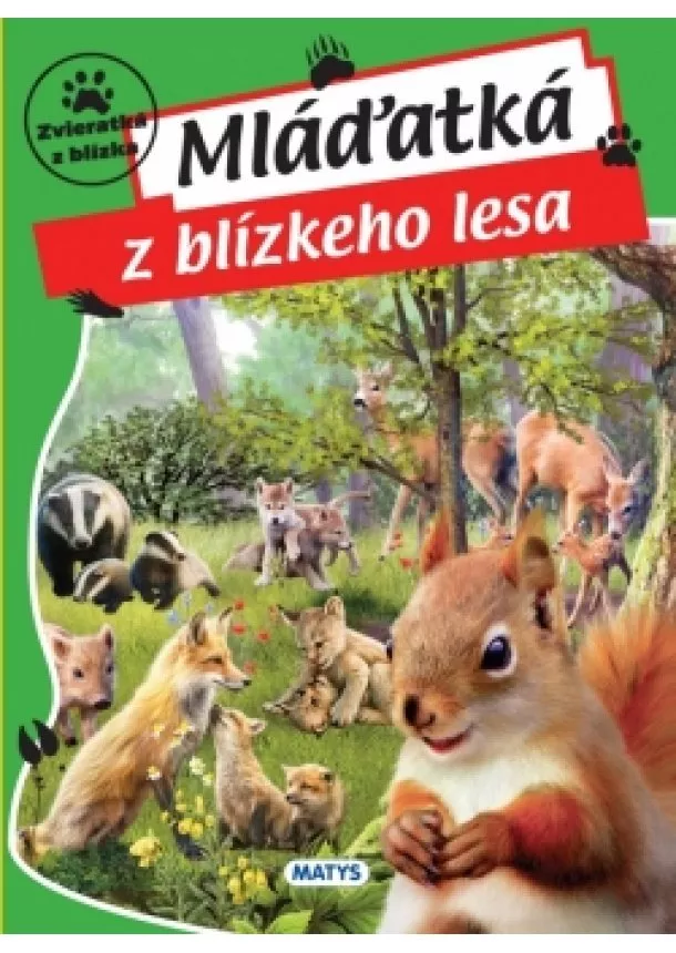 autor neuvedený - Mláďatká z blízkeho lesa