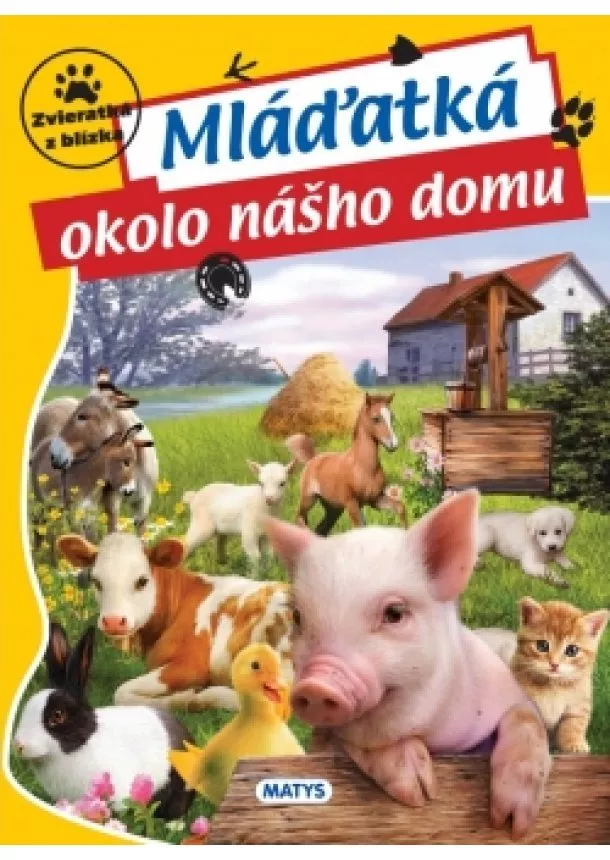 autor neuvedený - Mláďatká okolo nášho domu