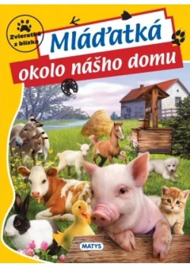 Mláďatká okolo nášho domu