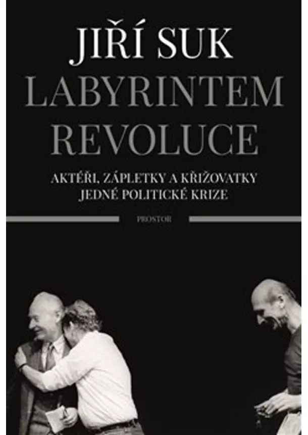 Jiří Suk - Labyrintem revoluce - Aktéři, zápletky a křižovatky jedné politické krize