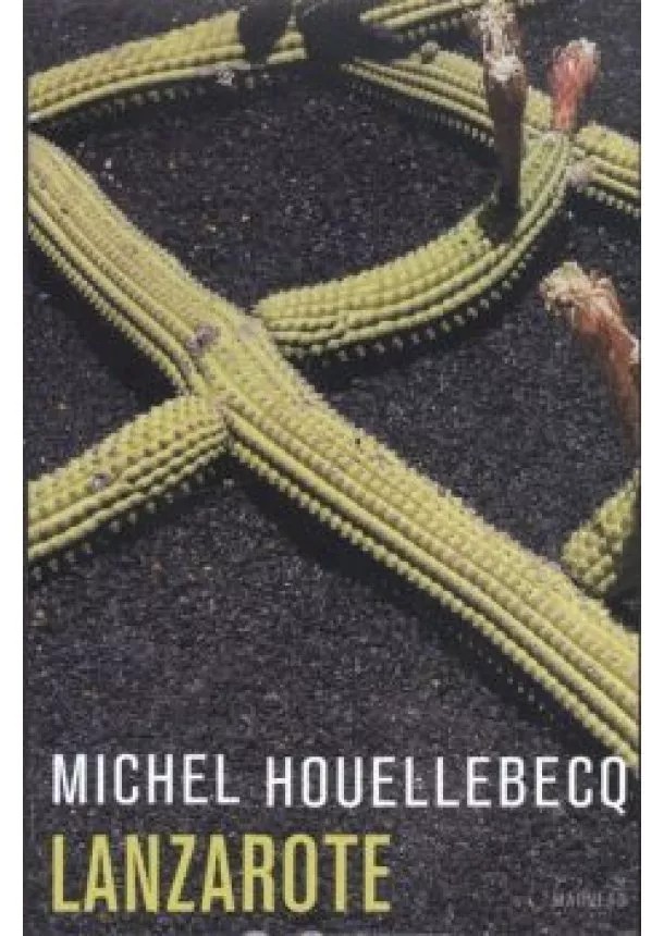 Michel Houellebecq - Lanzarote