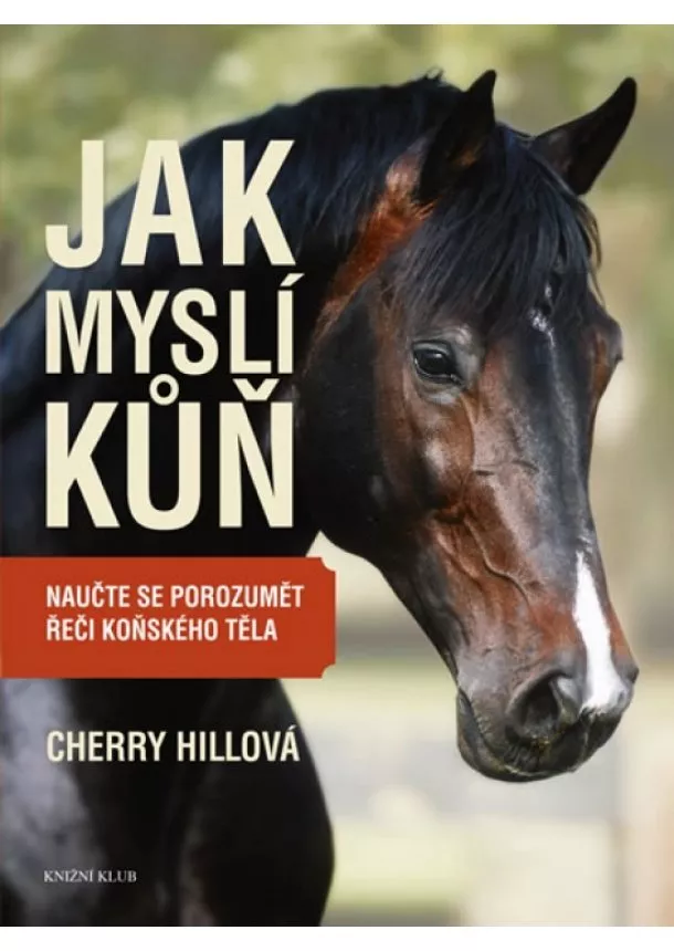 Cherry Hillová - Jak myslí kůň