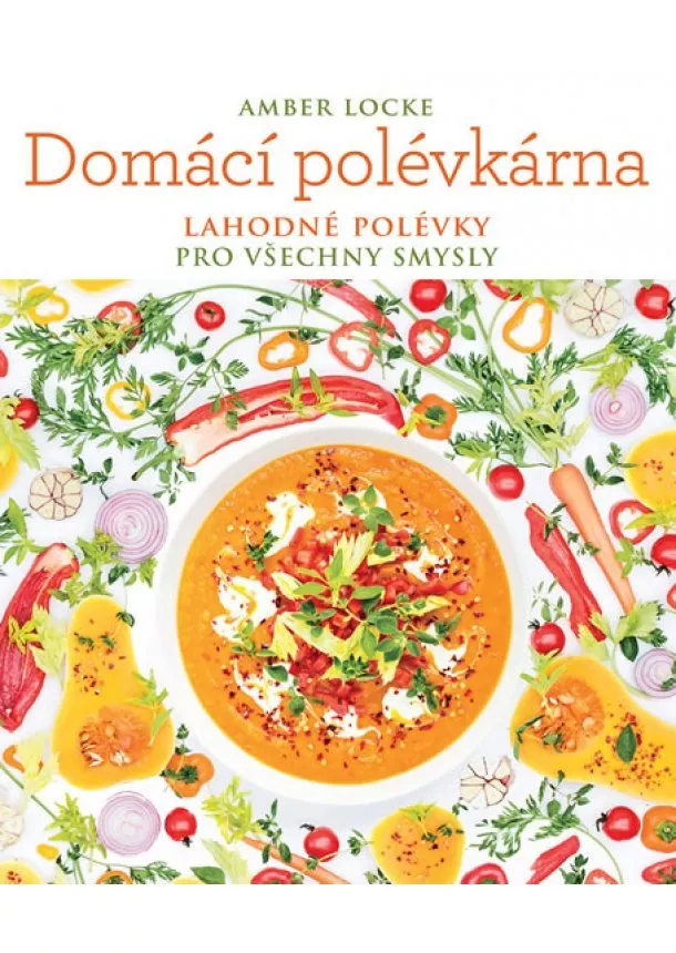 Amber Locke - Domácí polévkárna - Lahodné polévky pro všechny smysly