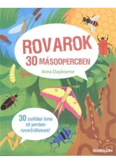 Rovarok 30 másodpercben /30 ízeltlábú téma fél percben rovarőrülteknek!